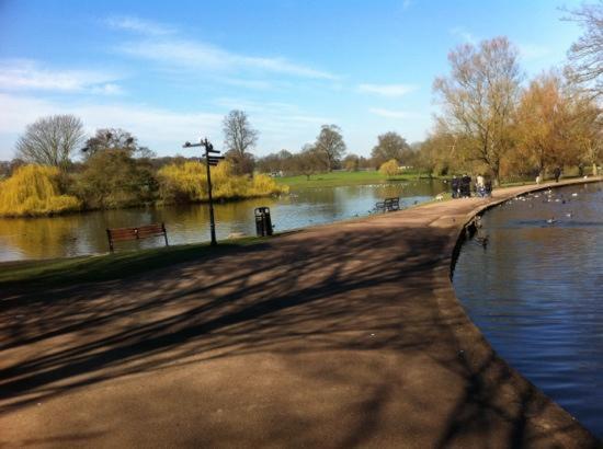 Appartamento Little Acorns St Albans Esterno foto